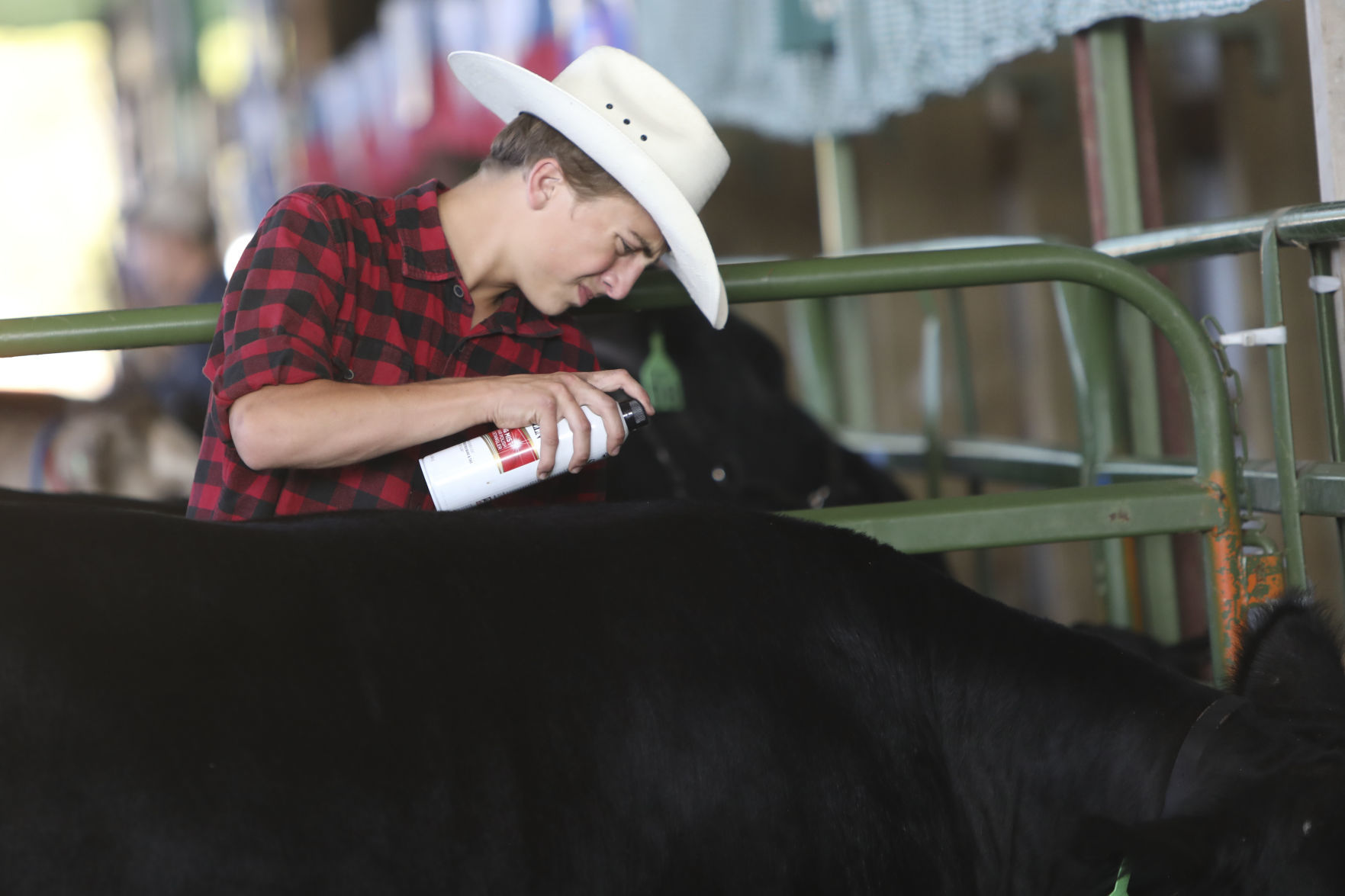 Benton County Fair